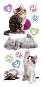 Sticker - Puffy - Kittens